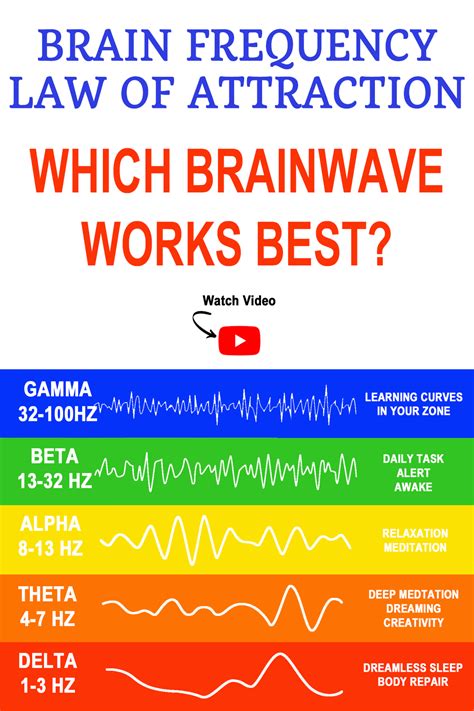 The Connection Between Black Magic Supply and Brain Wave Synchronization